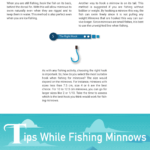 How-to-Hook-a-Minnow-Hidden-Tips-from-Honest-Fishers