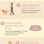 How-to-care-for-your-New-Dog
