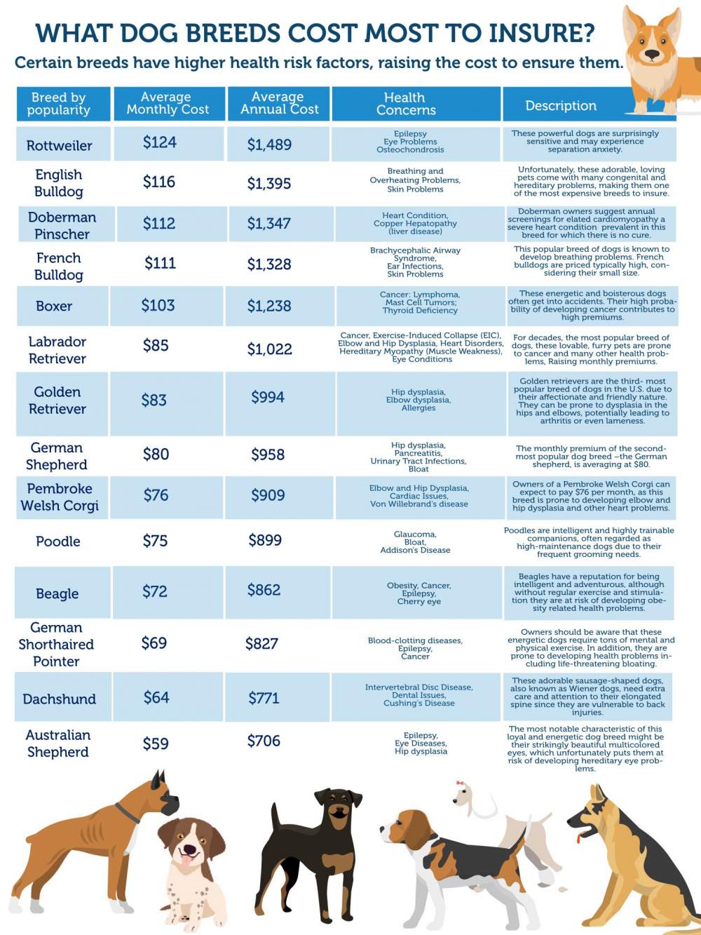 What Dog Breeds Cost Most to Insure
