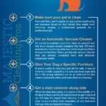How-to-Clean-a-House-with-Dogs-5-Essential-Tips-from-the-Experts