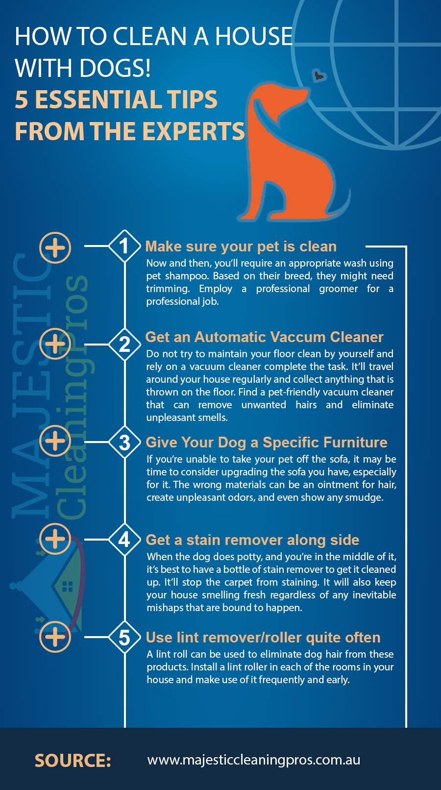 How-to-Clean-a-House-with-Dogs-5-Essential-Tips-from-the-Experts