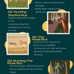 How-To-Hunt-Whitetail-Deer-During-The-Rut